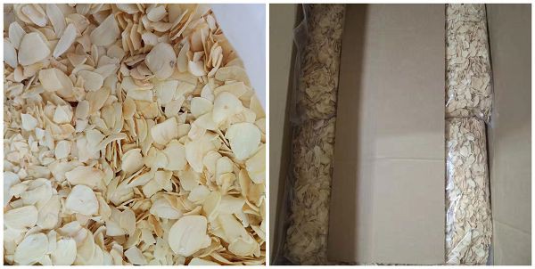product-600-302 product-600-302
