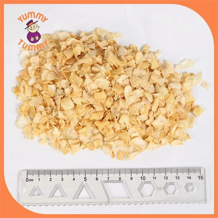 chopped onion flakes (1)