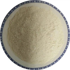 Polvere di cipolla secca