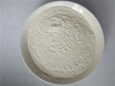 Aglio in polvere e cipolla in polvere